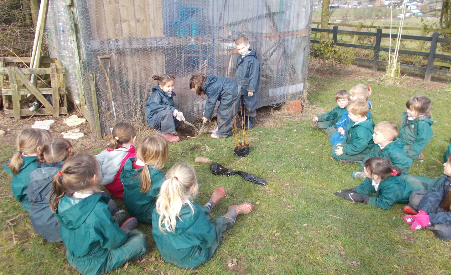 Image of Planting trees!